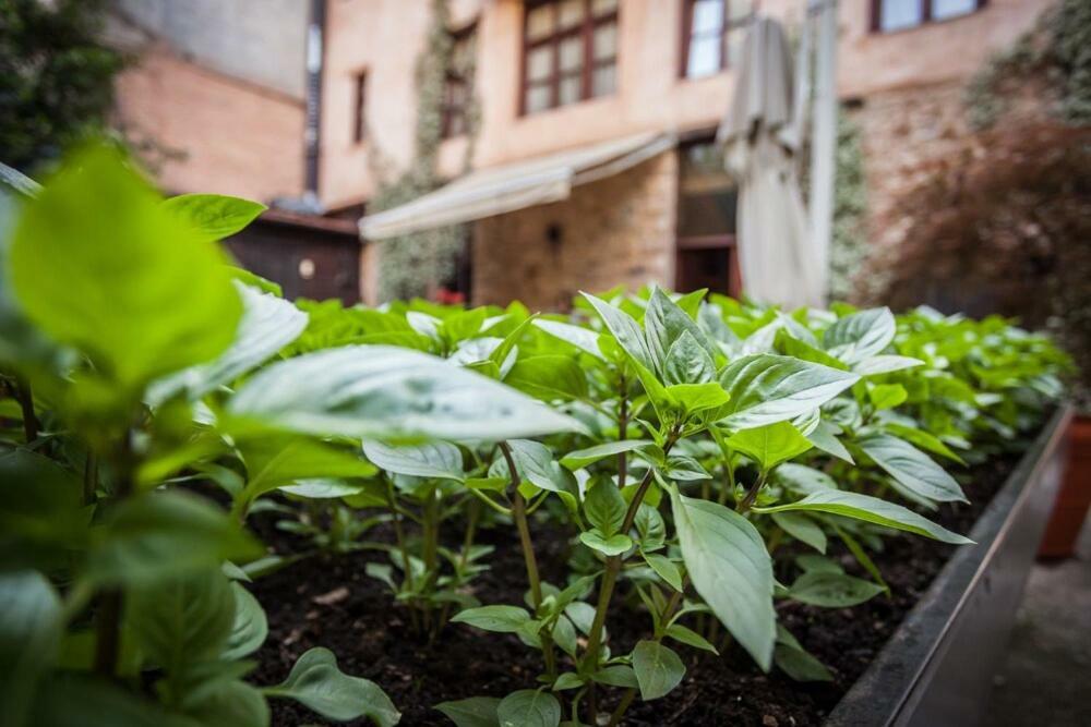 Boutique Hotel Palea Poli 나우사이마티아스 외부 사진